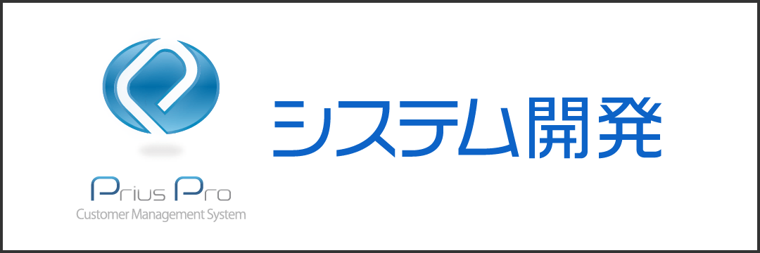 システム開発